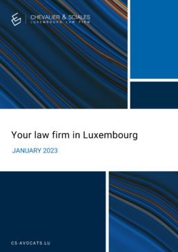 Your law firm in Luxembourg